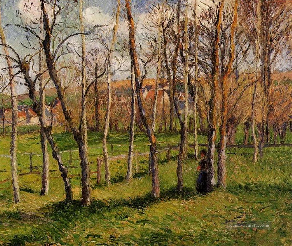 Wiese bei bazincourt 1885 Camille Pissarro Ölgemälde